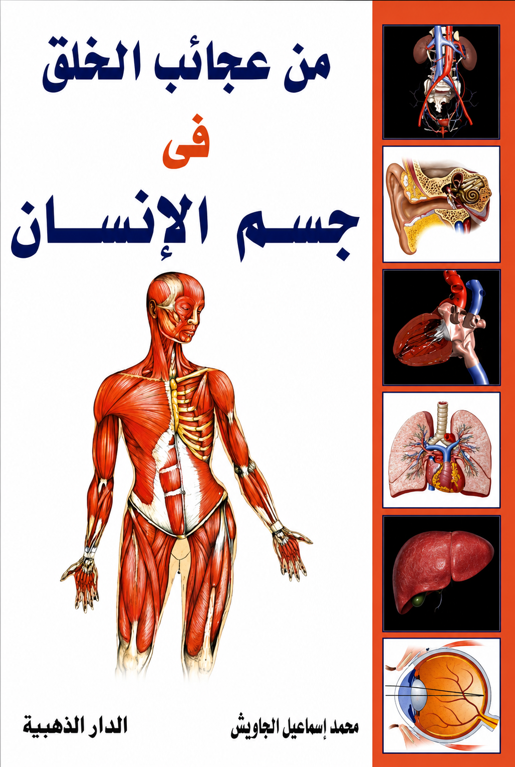 عجائب الخلق
 فى جسم الإنسان
